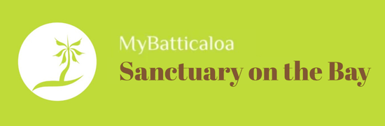Sanctuary Logo
