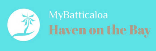 Haven Logo